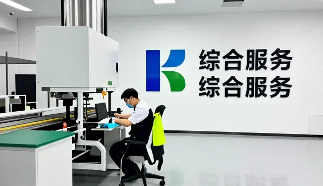 山东瑟威思金融软件服务外包有限公司